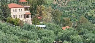 Land for sale in Abu Al-Sous – photo 10