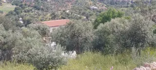 Land for sale in Abu Al-Sous – photo 9