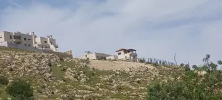 Land for sale in Abu Al-Sous – photo 11