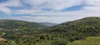 Land for sale in Abu Al-Sous – photo 8