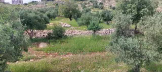 Land for sale in Abu Al-Sous