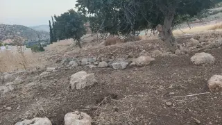 Land for sale in Abu Al-Sous – photo 2