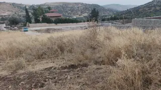 Land for sale in Abu Al-Sous – photo 9