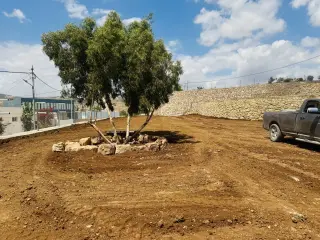 Land for sale in Mahes – photo 2