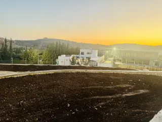 Land for sale in Mahes – photo 8