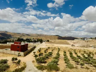 Land for sale in Mahes – photo 16