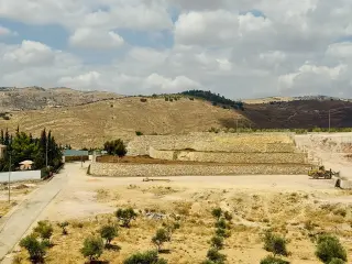 Land for sale in Mahes – photo 15