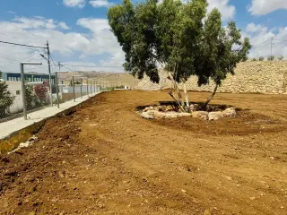 Land for sale in Mahes