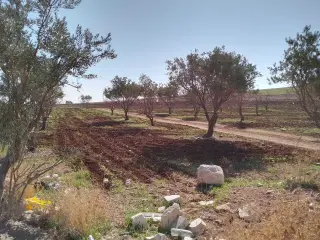 Land for sale in Kharebet Al Sooq and Jawa – photo 4