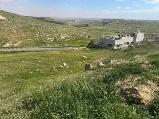 Land for sale in Zinat Al-Rubue