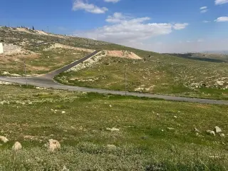 Land for sale in Zinat Al-Rubue – photo 6