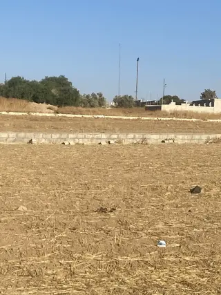 أرض للبيع في جلول – صورة 4