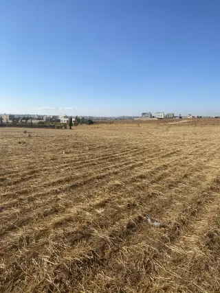 أرض للبيع في جلول – صورة 3