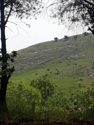 أرض للبيع في ابو النعير – صورة 2