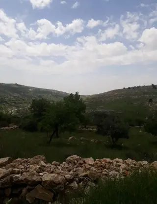 أرض للبيع في ابو النعير – صورة 5