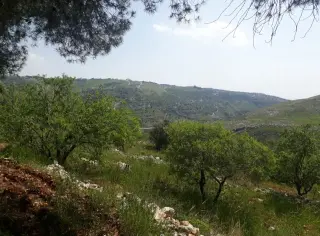 أرض للبيع في ابو النعير