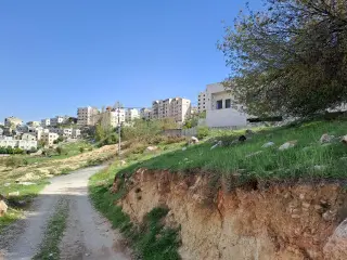 Land for sale in Al Kamaliya – photo 4