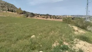 Land for sale in Iraq Al Ameer – photo 2