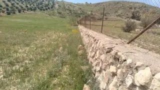 Land for sale in Iraq Al Ameer – photo 4