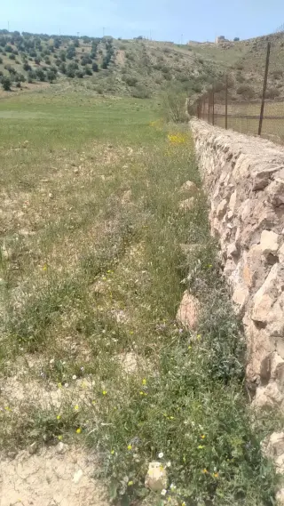 Land for sale in Iraq Al Ameer – photo 5