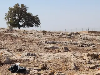 Land for sale in Iraq Al Ameer – photo 14