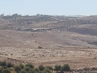 Land for sale in Iraq Al Ameer – photo 11