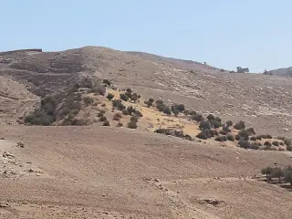Land for sale in Iraq Al Ameer – photo 10