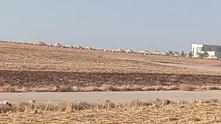 Land for sale in Um Al Basateen – photo 8