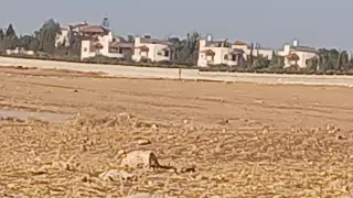 Land for sale in Um Al Basateen