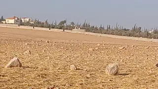 Land for sale in Um Al Basateen – photo 5
