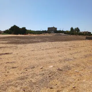 أرض للبيع في ام البساتين