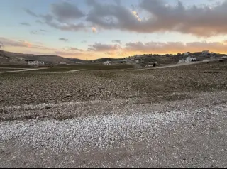 Land for sale in Al-Mugairat – photo 4