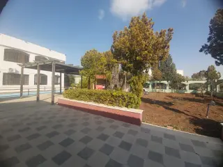 Land for sale in Al-Zaytouneh – photo 7