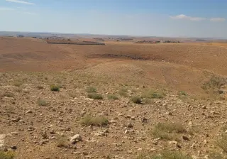 Land for sale in Al-Zafaran – photo 3