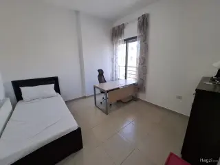 الصورة 8 من 12