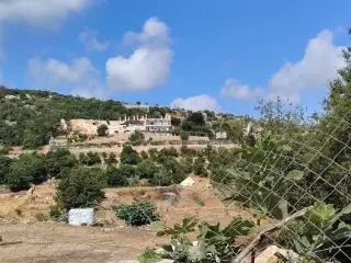 Land for sale in Zubiya – photo 10
