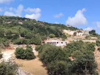 Land for sale in Zubiya – photo 9