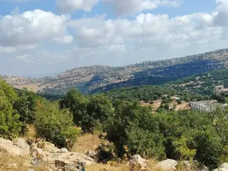 Land for sale in Zubiya – photo 6