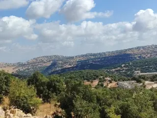 Land for sale in Zubiya – photo 8