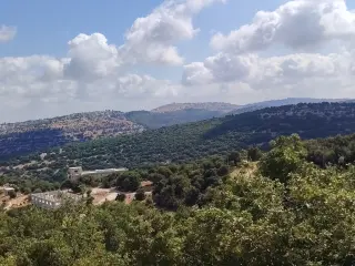 Land for sale in Zubiya – photo 11