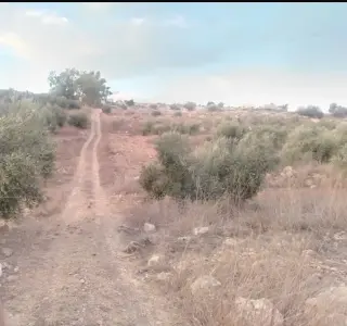 Land for sale in Hawr – photo 2