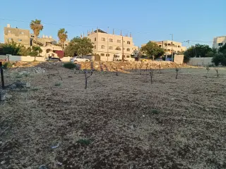 Land for sale in Honaina – photo 2