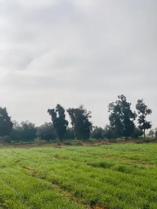Land for sale in Qasr al-Hallabat Al-Gharbi – photo 2