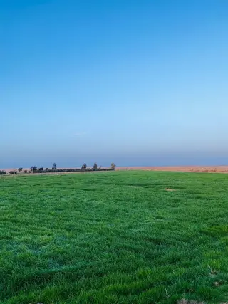 Land for sale in Qasr al-Hallabat Al-Gharbi – photo 8