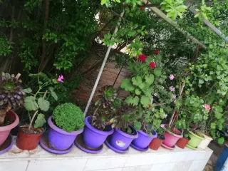 Apartment for sale in Jabal Al Amera Rahma – photo 3