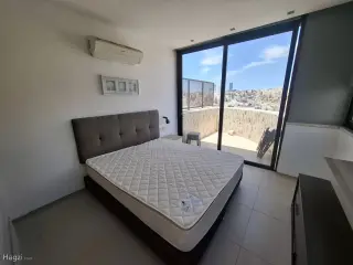 الصورة 6 من 8