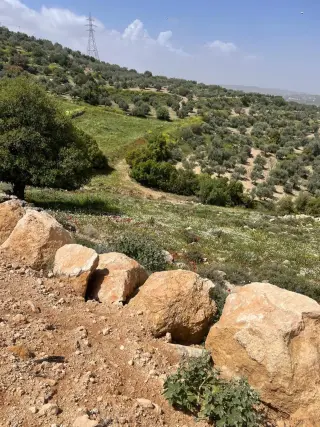 أرض للبيع في A'llan – صورة 2