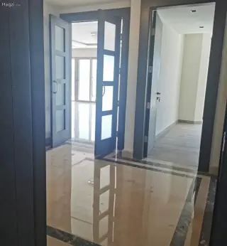 الصورة 11 من 12