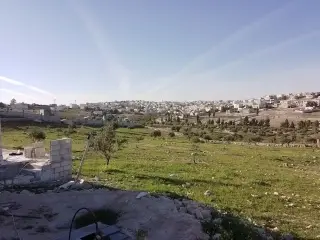 Land for sale in Manshiyyet Bani Hassan