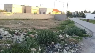 Land for sale in Dahiyat Al-Jamaa